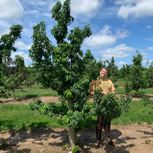 Aliyah Brewer Biology Keuka College